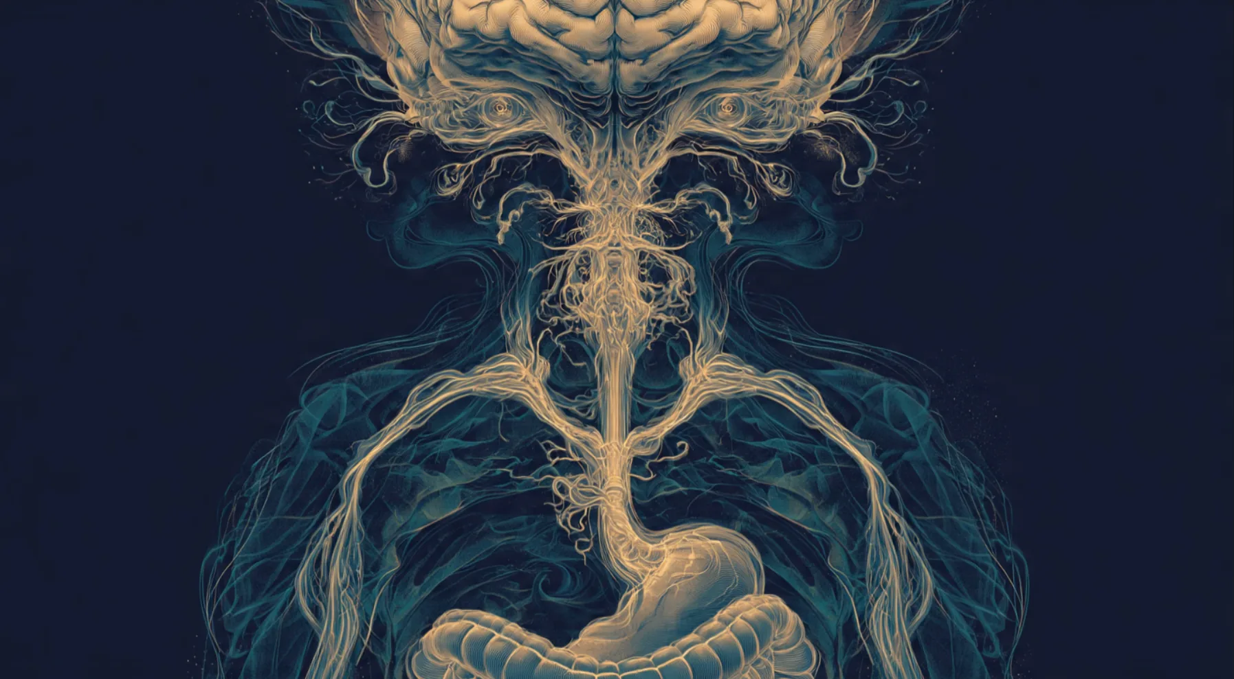 Cervello, occhi e nervo vago: l'asse intestino-cervello visualizzato